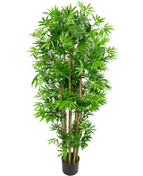 La Plante Artificielle Bambou Japonais 150 cm est un grand bambou artificiel avec de multiples tiges brunes et des feuilles vertes luxuriantes, dans un pot noir compact, sur un fond blanc uni.