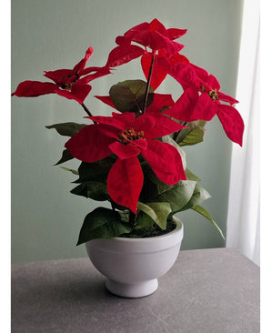 La Plante Artificielle Étoile de Noël 44 cm rouge, avec ses fleurs rouge vif et ses feuilles vertes, se dresse sur une surface grise contre un mur vert clair baigné d'une douce lumière naturelle venant de la droite.