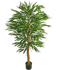 Plante artificielle Longfolia 150 cm