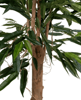 Un gros plan de la plante artificielle Longfolia 180 cm montre le tronc de l'arbre avec de longues feuilles vertes étroites et de fines lianes sinueuses sur un fond blanc.