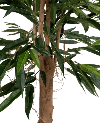 Un gros plan de la plante artificielle Longfolia 180 cm montre le tronc de l'arbre avec de longues feuilles vertes étroites et de fines lianes sinueuses sur un fond blanc.