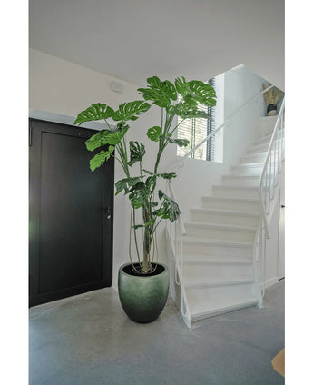 Une plante artificielle Monstera de 210 cm se dresse dans un pot sur un sol gris à côté d'un escalier blanc avec une rampe incurvée dans un intérieur moderne et minimaliste. Une porte noire est visible à gauche.