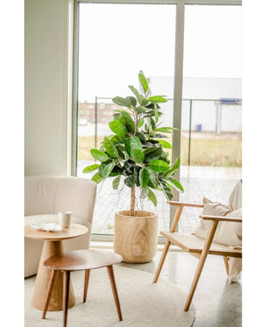 Chambre lumineuse et moderne avec de grandes fenêtres, la plante artificielle en caoutchouc de 150 cm avec des feuilles vert foncé dans un pot décoratif sur un tapis rond clair, un fauteuil beige, une table d'appoint en bois avec tasse et soucoupe et une chaise en bois avec coussin.