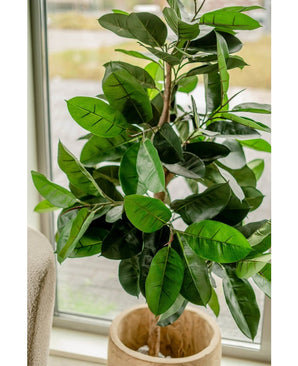 La Plante Artificielle en Caoutchouc 150 cm se place près d'une fenêtre. Les grandes feuilles vert foncé brillantes captent la lumière naturelle et donnent à n'importe quelle pièce un look élégant.