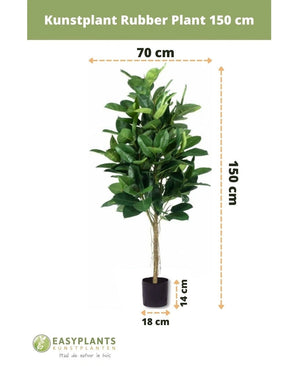 Plante artificielle Plante à caoutchouc de 150 cm avec des feuilles vert foncé dans un pot noir élégant. Hauteur : 150 cm, largeur : 70 cm, diamètre du pot : 18 cm, hauteur du pot : 14 cm – idéal pour les pots décoratifs.