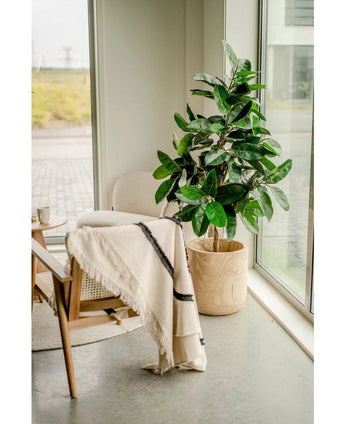 Une chaise en bois avec un tapis de couleur crème se trouve à côté de l'usine de caoutchouc artificiel de 150 cm dans des pots élégants près de hautes fenêtres, où la lumière naturelle et un sol gris clair renforcent l'atmosphère lumineuse et sereine de la pièce.