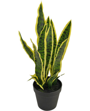 La plante artificielle Sansevieria Laurentii 44 cm possède de longues feuilles vertes dressées aux bords jaunes et est présentée dans un pot décoratif sur un fond blanc uni.