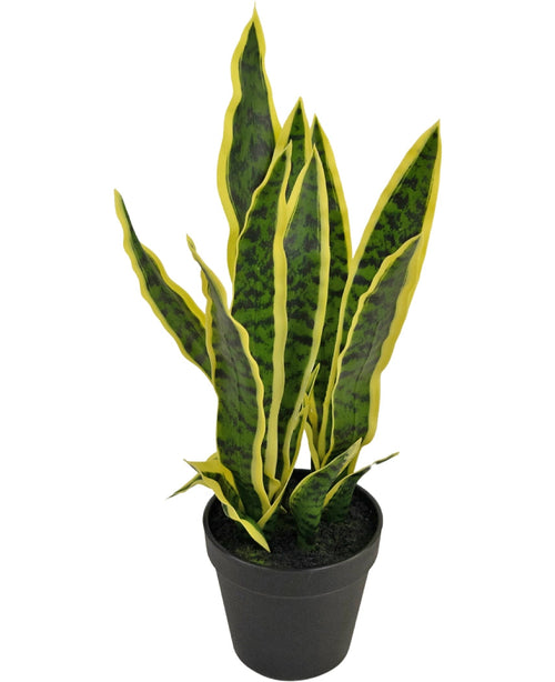 La plante artificielle Sansevieria Laurentii 44 cm possède de longues feuilles vertes dressées aux bords jaunes et est présentée dans un pot décoratif sur un fond blanc uni.