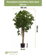 La petite feuille artificielle Schefflera 150 cm a de petites feuilles dans un pot décoratif, mesure 150 cm de haut, 60 cm de large, avec une hauteur de pot de 14 cm et un diamètre de 18 cm. Les mesures sont indiquées par des flèches.