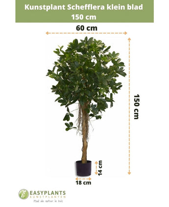 La petite feuille artificielle Schefflera 150 cm a de petites feuilles dans un pot décoratif, mesure 150 cm de haut, 60 cm de large, avec une hauteur de pot de 14 cm et un diamètre de 18 cm. Les mesures sont indiquées par des flèches.