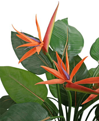 Gros plan de la plante artificielle Strelitzia 120 cm, avec des fleurs d'oiseau de paradis orange et violet vif avec de grandes feuilles vertes sur un fond clair.
