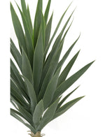 Close-up van Kunstplant Yucca 100 cm UV, met dichte groene, stekelige bladeren die vanuit het midden omhoog en naar buiten stralen tegen een effen witte achtergrond.