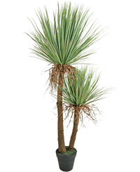 Yucca artificiel Deluxe 153 cm