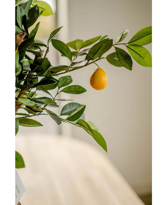 Sur le Citronnier Artificiel 75 cm, un seul citron jaune est suspendu à une branche feuillue sur un fond légèrement décoloré.