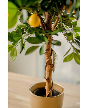 Le citronnier artificiel de 75 cm a des feuilles vertes réalistes et un citron jaune, dans un pot décoratif doré sur une surface en bois clair à l'intérieur. Une étiquette végétale orne le tronc torsadé.