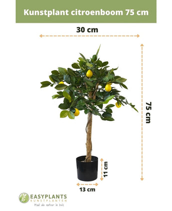 Citronnier artificiel 75 cm avec feuilles vertes et faux citrons dans un pot décoratif noir (13x11 cm). Hauteur : 75 cm, largeur : 30 cm. Avec logo vert Easyplants en bas.