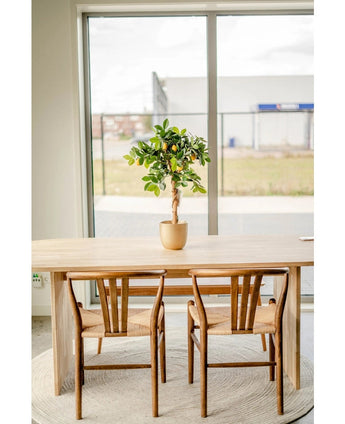Une table en bois clair avec deux chaises assorties se dresse sur un tapis rond près d'une grande fenêtre. Un citronnier artificiel de 75 cm orne le centre de la table et ajoute du charme à la scène légère et minimaliste.
