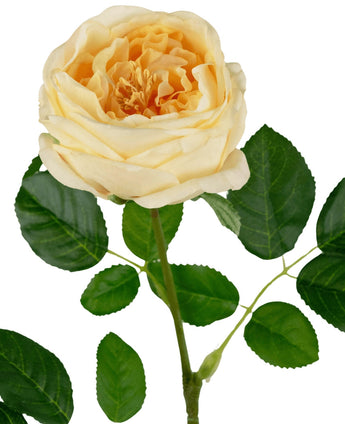 La rose de jardin artificielle "Anniken" Real Touch jaune 72 cm présente une rose jaune clair en fleurs avec des pétales superposés et des feuilles vertes sur la tige, sur un fond blanc.