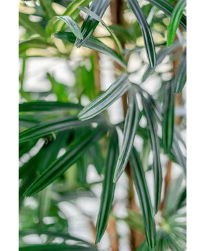 Gros plan de longues feuilles vertes fines avec des rayures blanches du Lady Palm artificiel 180 cm. Le fond légèrement décoloré souligne la texture et les couleurs de cette élégante plante artificielle.