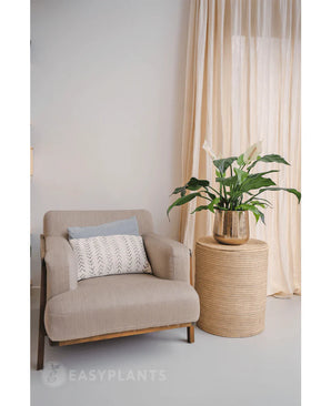 Un fauteuil beige avec un coussin décoratif se trouve à côté d'une table d'appoint ronde en osier sur laquelle est posée la plante artificielle Spathiphyllum blanche de 85 cm. Des rideaux lumineux en arrière-plan complètent cet intérieur calme et moderne.