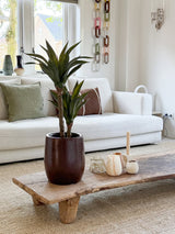 Un salon moderne avec un canapé blanc, des coussins verts et marron, une table basse en bois décorée de bougies et de l'agave artificielle 76 cm, et une décoration murale en maille chaîne. La lumière naturelle pénètre par les fenêtres derrière le canapé.