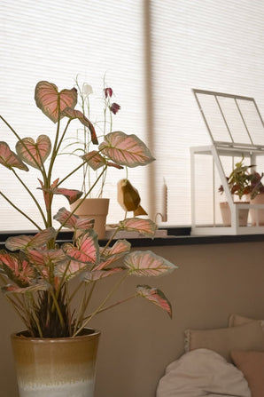 La plante artificielle Caladium de 90 cm, rose aux feuilles teintées de rose, trône sur un rebord de fenêtre, aux côtés d'autres plantes, de décorations et d'une mini serre blanche, le tout baigné d'une douce lumière naturelle qui remplit la pièce cosy.