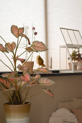 La plante artificielle Caladium de 90 cm, rose aux feuilles teintées de rose, trône sur un rebord de fenêtre, aux côtés d'autres plantes, de décorations et d'une mini serre blanche, le tout baigné d'une douce lumière naturelle qui remplit la pièce cosy.