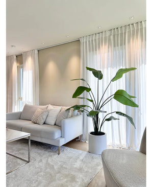 Een moderne woonkamer met een lichtgrijze bank, witte kussens, de Kunstplant Strelitzia Real Touch kant en klaar in pot beige 180 cm, transparante witte gordijnen, een beige vloerkleed en zacht natuurlijk licht dat door de ramen naar binnen valt.