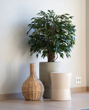 Une plante artificielle Ficus Liana de 90 cm se dresse dans une jardinière grise à côté d'un vase tressé et d'un tabouret légèrement nervuré, le tout sur un parquet en bois contre un mur blanc uni.