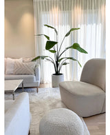 Lichte, moderne woonkamer met een witte bank, ronde fauteuil en poef. Een 180 cm Kunstplant Strelitzia Real Touch kant en klaar in pot beige staat naast transparante gordijnen. Gezellige neutrale inrichting met een zacht vloerkleed en kussens maken de look compleet.