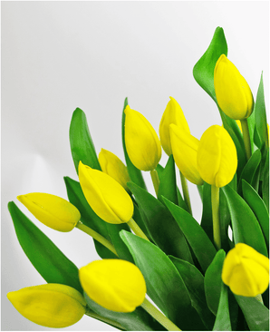 Het Zijden kunstboeket Tulpen in vaas Geel toont levendige gele tulpen met groene bladeren, prachtig gerangschikt en uitgestald tegen een effen witte achtergrond.