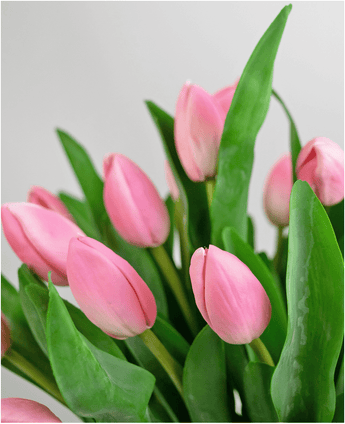 Een close-up van het Zijden kunstboeket Tulpen in vaas Roze toont roze tulpen met groene bladeren tegen een lichte, neutrale achtergrond.