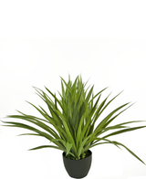 La plante succulente artificielle de 40 cm est une plante d'intérieur artificielle verte et épineuse dans un pot noir, sur un fond blanc uni.