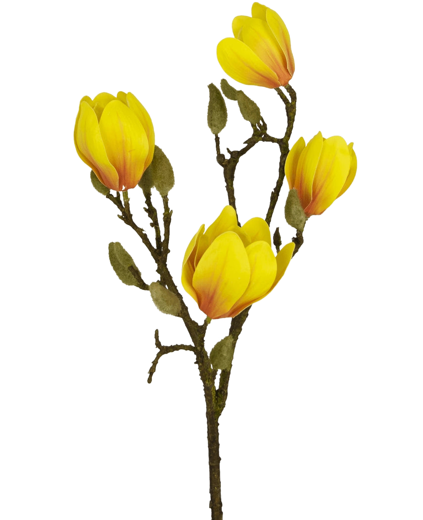 La fleur artificielle Magnolia 50 cm jaune/orange, avec plusieurs fleurs jaune vif et orange avec des boutons verts, se distingue comme une décoration florale artificielle frappante sur un fond blanc uni.