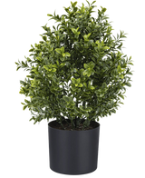 La Plante Artificielle Buis Style Romain UV 36 cm est une plante artificielle en pot compacte au feuillage vert dense, présentée dans une simple jardinière ronde noire sur un fond blanc uni.