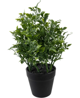 La plante artificielle Raisin 25 cm est une plante artificielle verte et luxuriante avec des feuilles denses et pointues dans un pot noir sur un fond blanc uni.