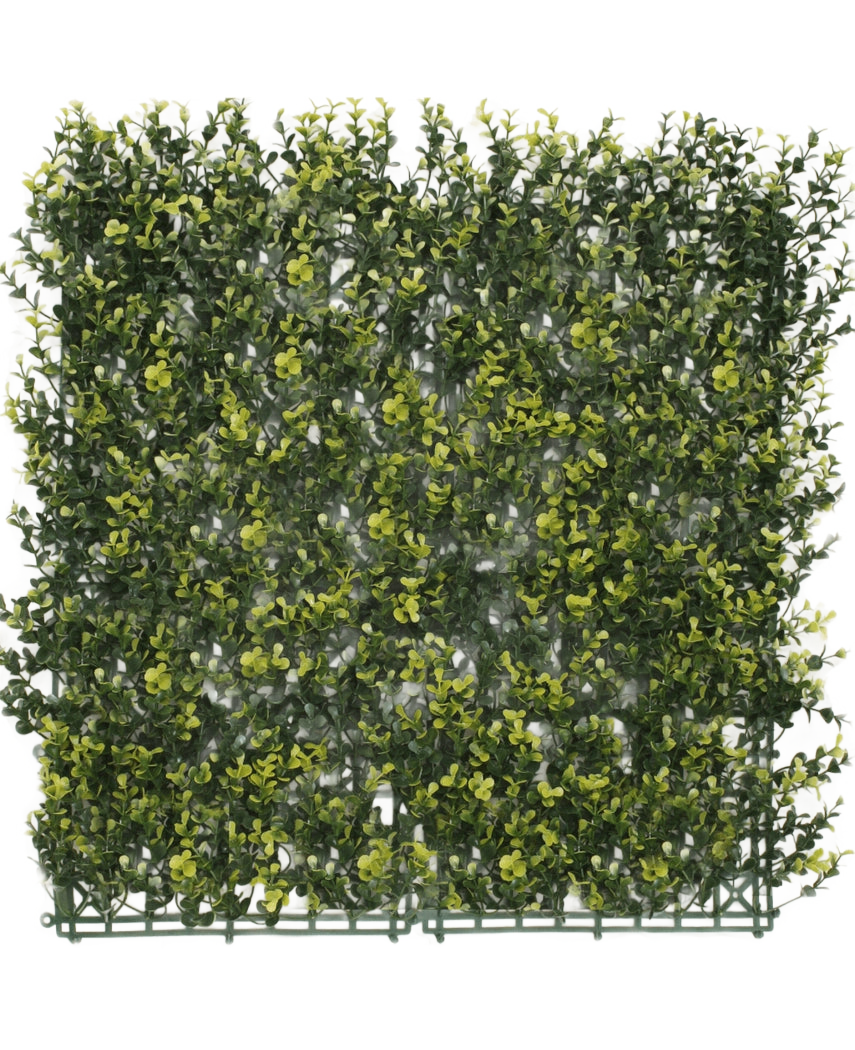 La Haie Artificielle Buis Jaune 50x50 cm UV est un panneau carré de feuillage vert artificiel dense aux feuilles jaunes, conçu pour ressembler à une haie ou un mur de jardin, sur un fond blanc uni.