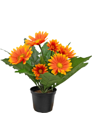 La plante artificielle Gerbera UV orange de 28 cm a des fleurs artificielles ressemblant à des marguerites orange et jaune avec des feuilles vertes dans un pot noir, parfaites pour égayer n'importe quel espace.