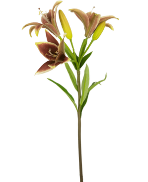 La Fleur Artificielle Lys Asiatique 66 cm vieux rose possède une tige unique avec trois fleurs de lys artificielles roses - deux en fleurs et une en bouton - avec des feuilles vertes, sur un fond blanc uni.