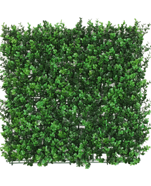 La Haie Artificielle Buis vert 50x50 cm UV est un panneau carré aux feuilles denses de buis vert artificiel, créant une haie luxuriante, vue de dessus sur un fond blanc.