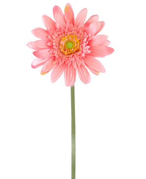 Une fleur artificielle Gerbera rose de 55 cm a un seul gerbera rose avec un cœur jaune-vert sur une longue tige verte, sur un fond blanc uni.