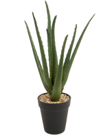 La plante artificielle Aloe Vera 33 cm possède de longues feuilles vertes vaporeuses qui poussent vers le haut, en petites pierres dans un pot noir élégant, sur un fond blanc.