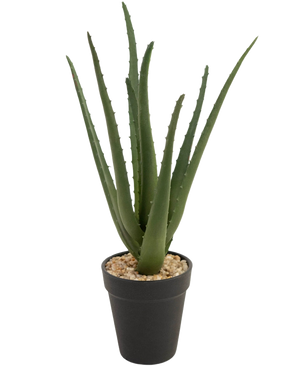 La plante artificielle Aloe Vera 33 cm possède de longues feuilles vertes vaporeuses qui poussent vers le haut, en petites pierres dans un pot noir élégant, sur un fond blanc.
