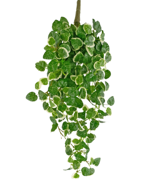 Plante artificielle suspendue Pumila 50 cm