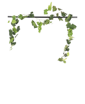 Une tige noire montre la guirlande de raisin artificiel ignifuge de 186 cm, avec des grappes de raisins verts et des feuilles luxuriantes, suspendues de manière décorative sur un fond blanc uni.