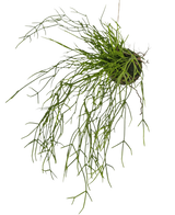 La Plante artificielle suspendue Herbe sur boule 48 cm possède de longues tiges fines ressemblant à de l'herbe verte dans une petite motte de terre, sur un fond blanc.