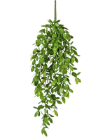 La plante artificielle suspendue Gardenia 61 cm est une plante artificielle suspendue avec des feuilles vertes luxuriantes et une seule tige visible, sur un fond blanc uni.