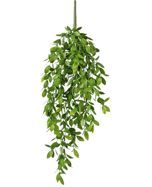 La plante artificielle suspendue Gardenia 61 cm est une plante artificielle suspendue avec des feuilles vertes luxuriantes et une seule tige visible, sur un fond blanc uni.