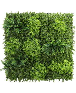 Le panneau UV Mousse de haie artificielle 100x100 cm présente un feuillage vert dense et varié et plusieurs grappes de feuilles ressemblant à des fougères sur fond blanc.