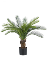 Le Palmier Cycas Artificiel 80 cm possède un long cycas vert courbé et un tronc épais et structuré. La plante est dans un simple pot noir sur un fond blanc uni.